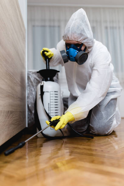 Emergency Pest Control Services in Westminster, TX